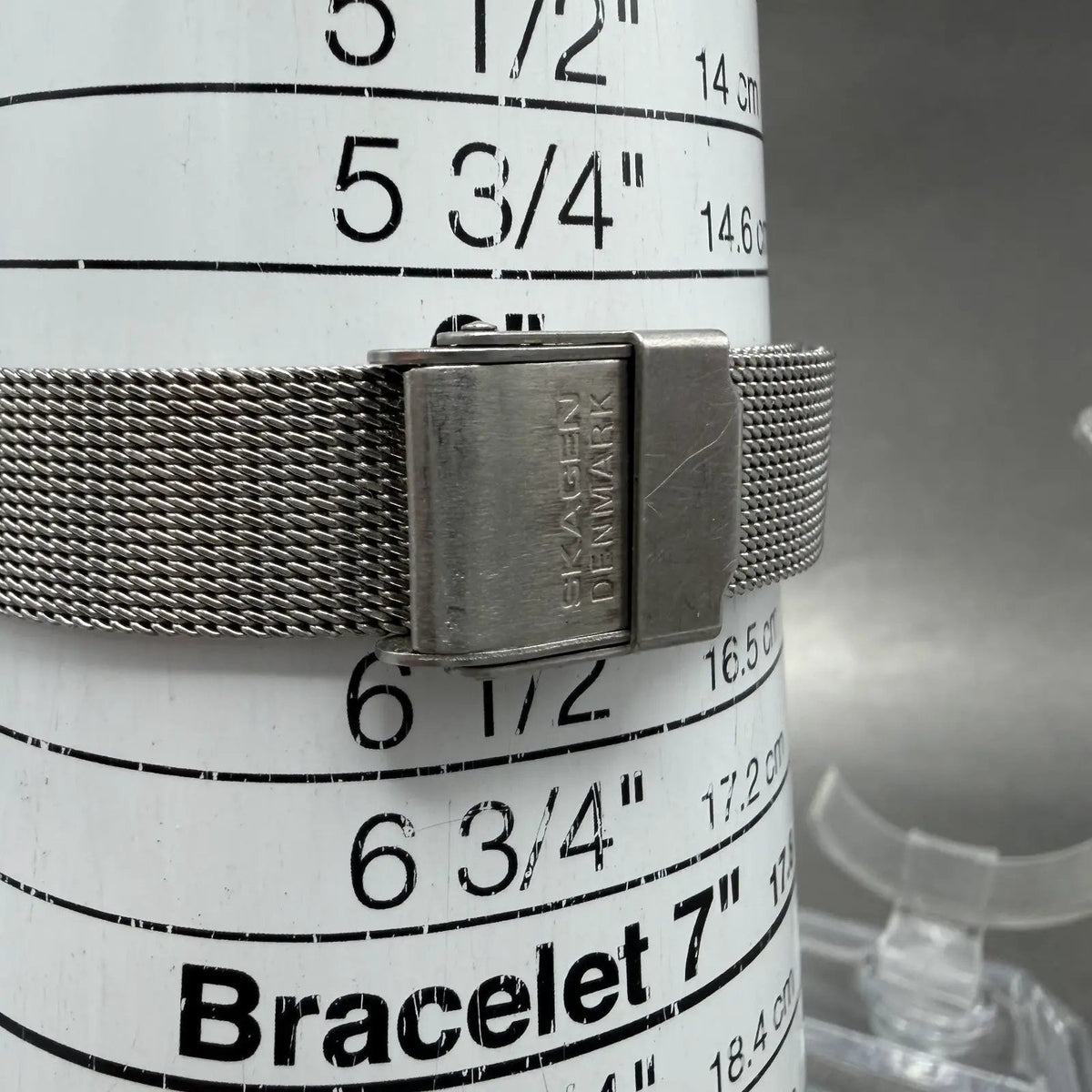 Skagen Watch Women 28mm Silver Dial Two Tone Round 30SGS Mesh Band New Battery10