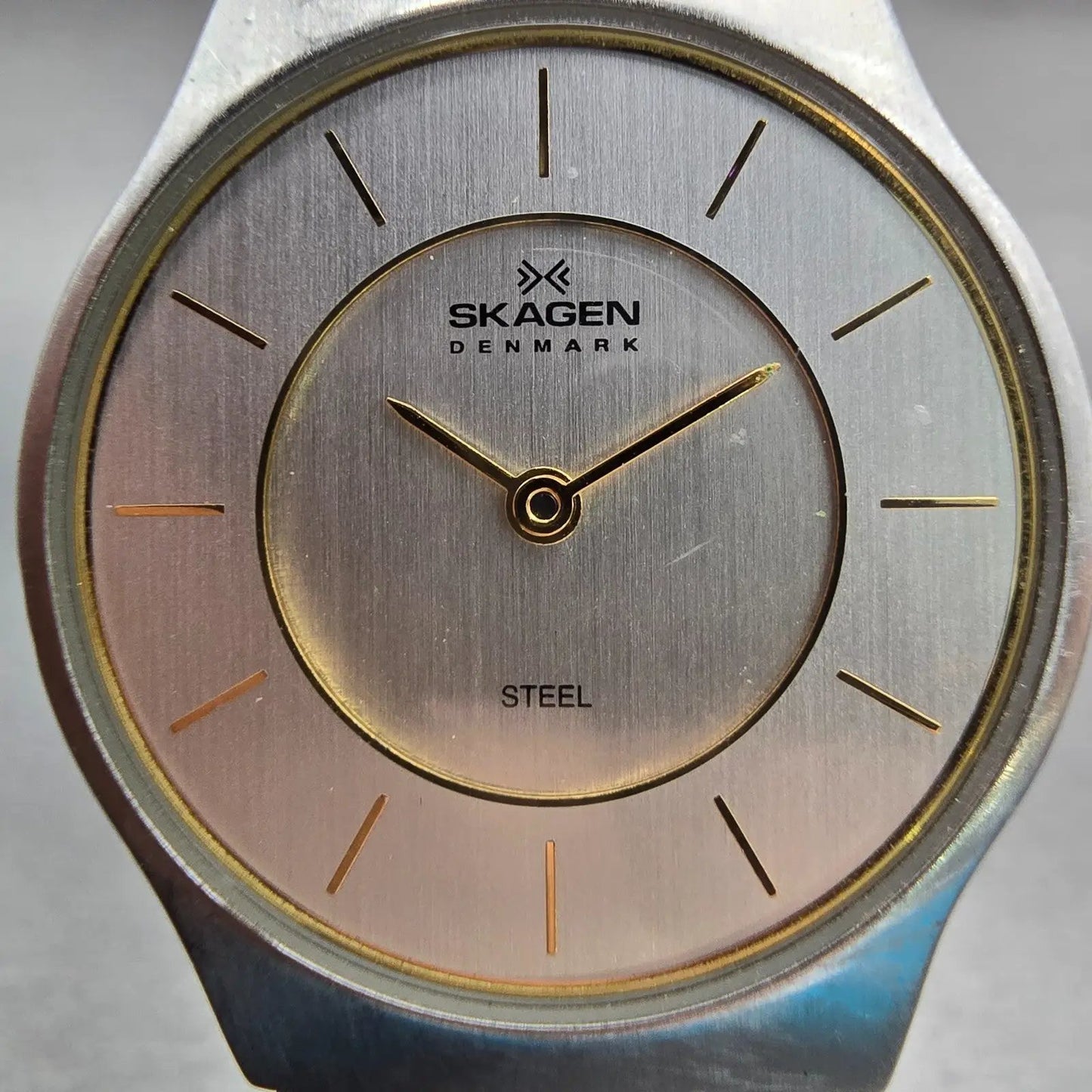 Skagen Watch Women 28mm Silver Dial Silver Tone Round 233SGSC New Batt G1
