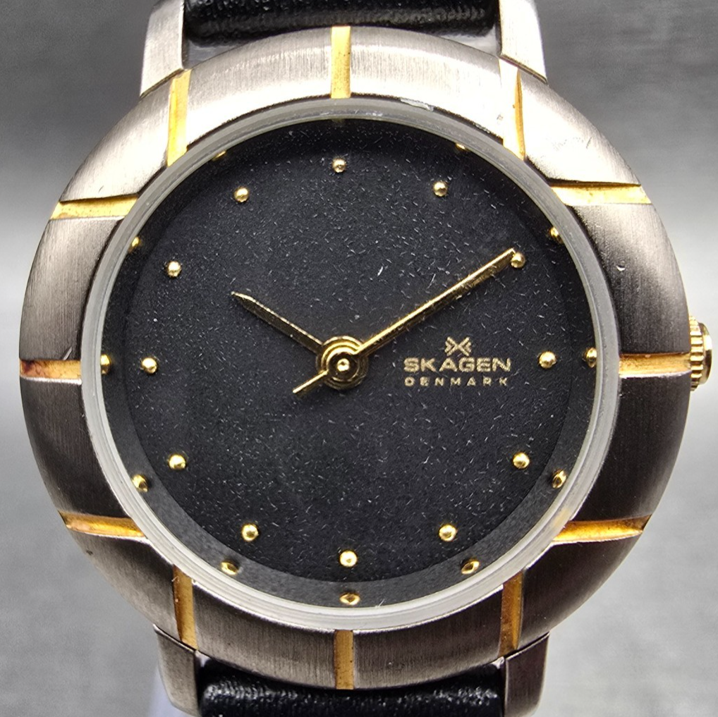 Skagen Watch Women 26m Gray Dial Two Tone Round 3SGSB Leather Band New Battery1