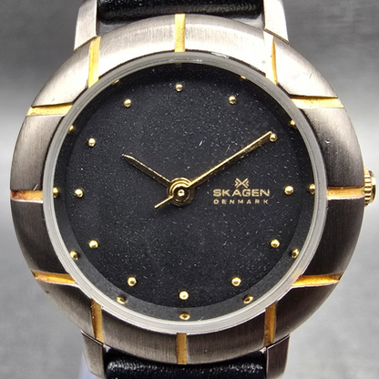 Skagen Watch Women 26m Gray Dial Two Tone Round 3SGSB Leather Band New Battery1