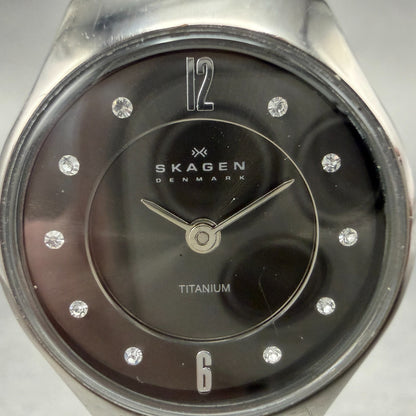 Skagen Watch Women 24mm Black Dial Titanium Mesh Band 233XSTTM New Battery1