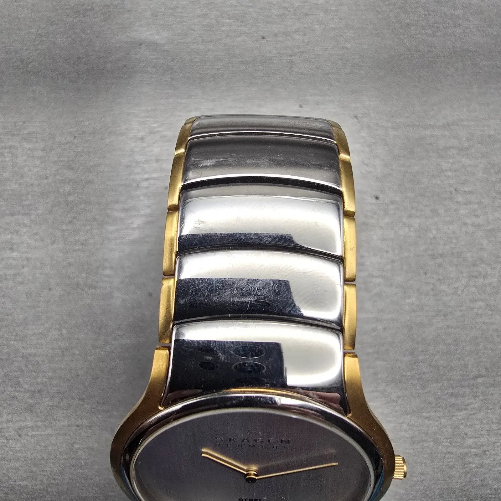 Skagen Denmark Watch Men 38mm Silver Dial Two Tone Round 256GLX New Battery8