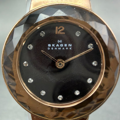 Skagen Watch Women 25mm Brown MOP Dial Rose Gold Tone Round New Batt Mesh Band1