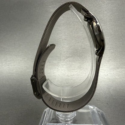 Skagen Watch Women 24mm Gray Dial Titanium Round Mesh Band 233XSTTM New Battery8
