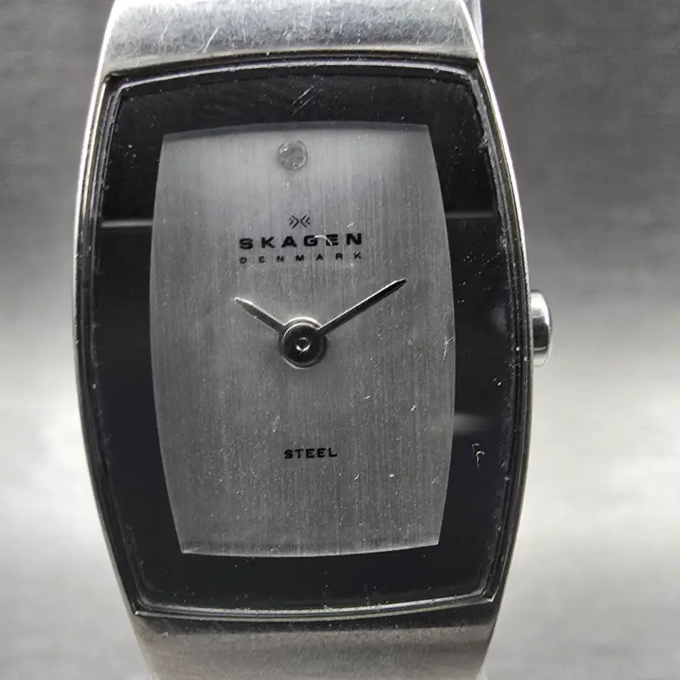 Skagen Watch Women 16mm Silver Dial Silver Tone Rectangle 271SSSD New Battery1