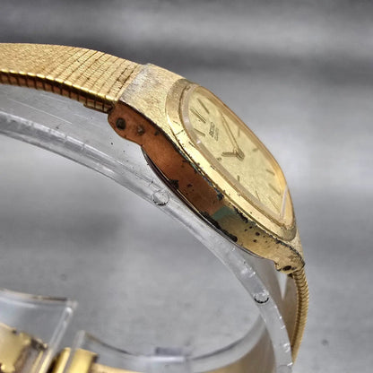 Seiko Watch Women 18mm Champagne Dial Gold Tone Oval 2C20-5029 New Battery VTG3