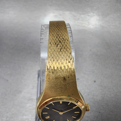 VTG Seiko Watch Women 22mm Brown Dial Gold plated Round 437000 New Battery4