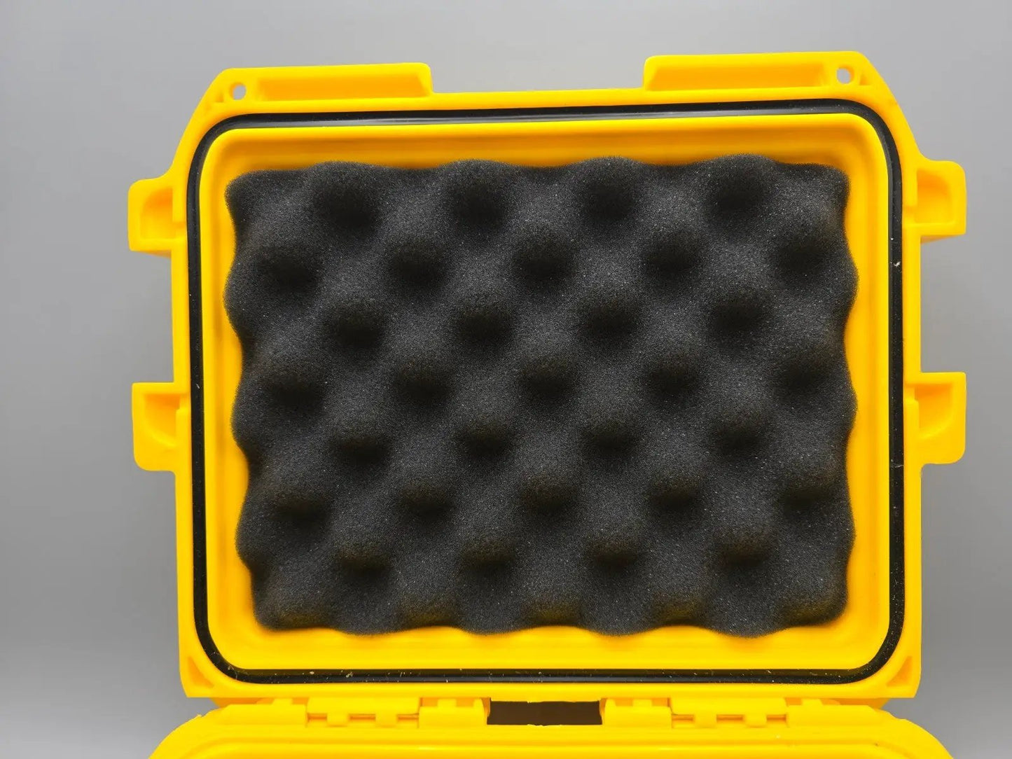 48425304