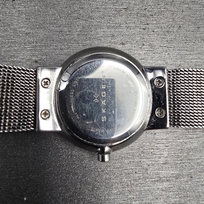 Skagen Watch Women 26mm Silver Dial Silver Tone Date Round 355SSS1 New Battery J10