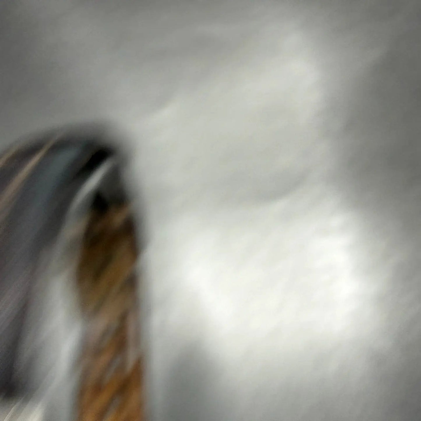 48101764