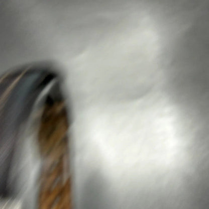 48101764