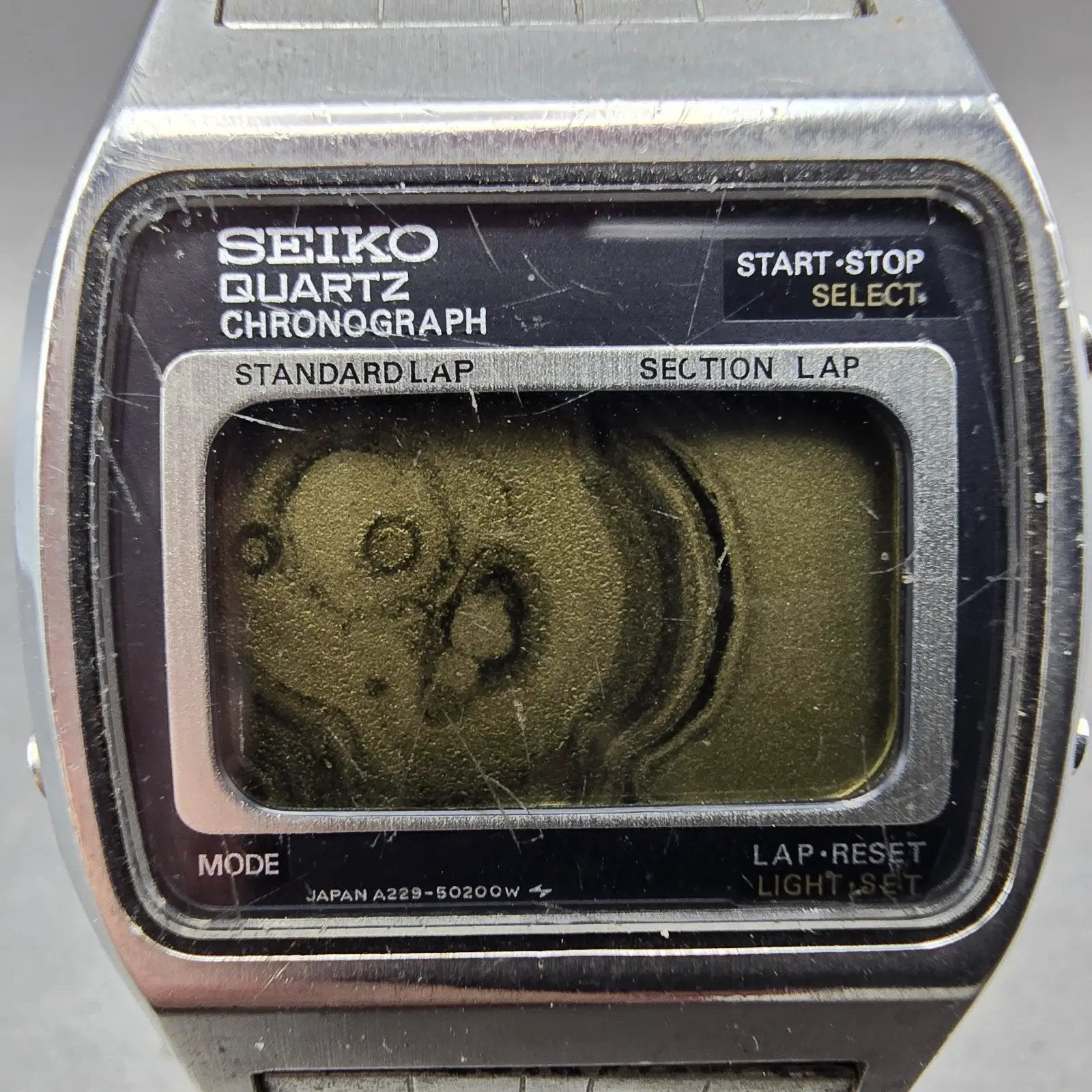 48445070