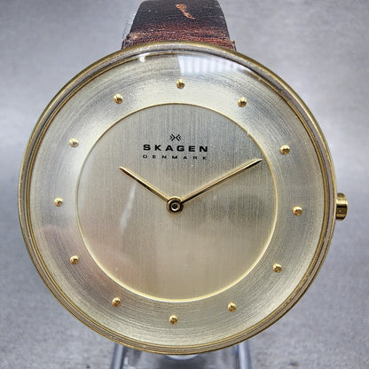 Skagen Gitte Watch Women 38mm Champagne Dial Gold Tone Round SKW2138 New Batt1