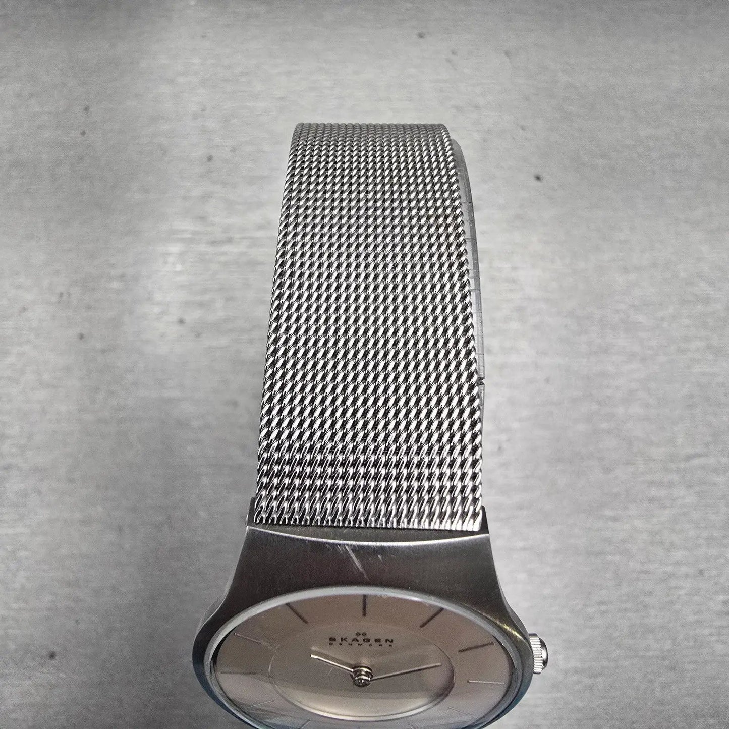 Skagen Denmark Watch Women 28mm Silver Dial Silver Tone Round 233SSS New Battery4
