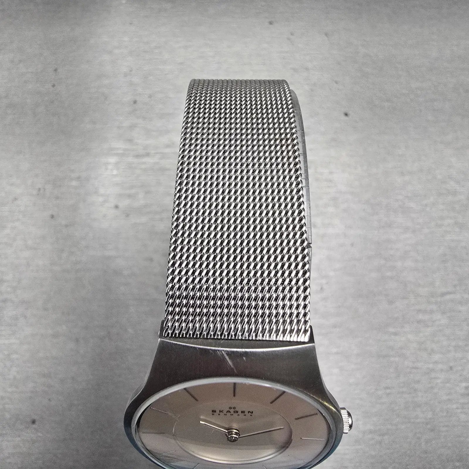 Skagen Denmark Watch Women 28mm Silver Dial Silver Tone Round 233SSS New Battery4