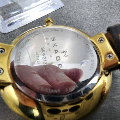 Skagen Gitte Watch Women 38mm Champagne Dial Gold Tone Round SKW2138 New Batt10