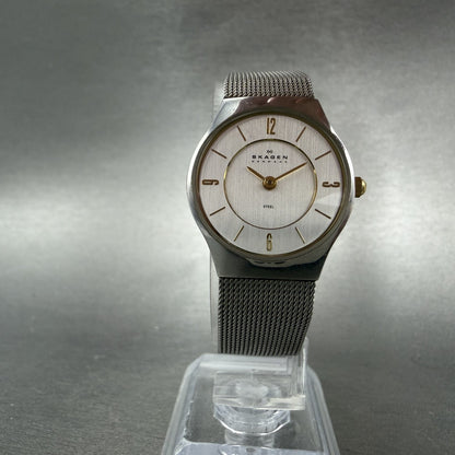 Skagen Watch Women 24mm Silver Dial Stainless Steel Round Mesh Band New Battery5