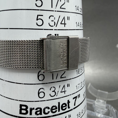 Skagen Watch Women 28mm Silver Dial Two Tone Round 30SGS Mesh Band New Battery10