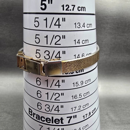 Citizen Watch Women 17mm Champagne Dial Gold Tone Oval 3220-949412 New Battery9