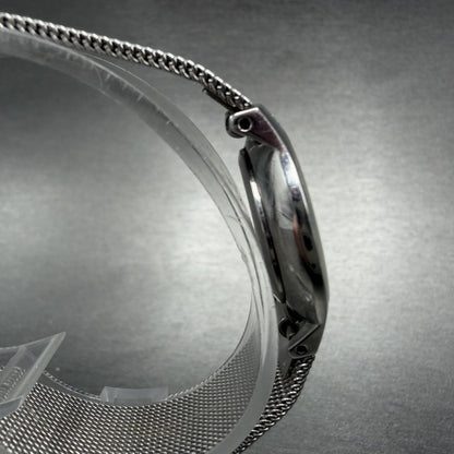 Skagen Watch Women 24mm Silver Dial Stainless Steel Round Mesh Band New Battery3