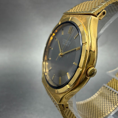 Citizen CQ Watch Men 31mm Gray Dial Gold Tone Round 6031-K06584 New Battery2