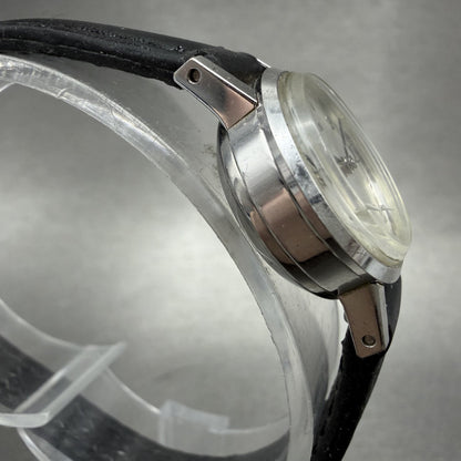 Citizen Watch Women 20mm Silver Dial Silver Tone Round Manual Wind Runs VTG3