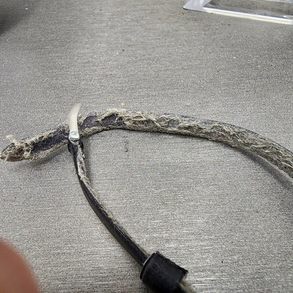 Seiko Solar Watch Women 15mm Silver Dial Silver Tone Manual Oval 100470 Runs13