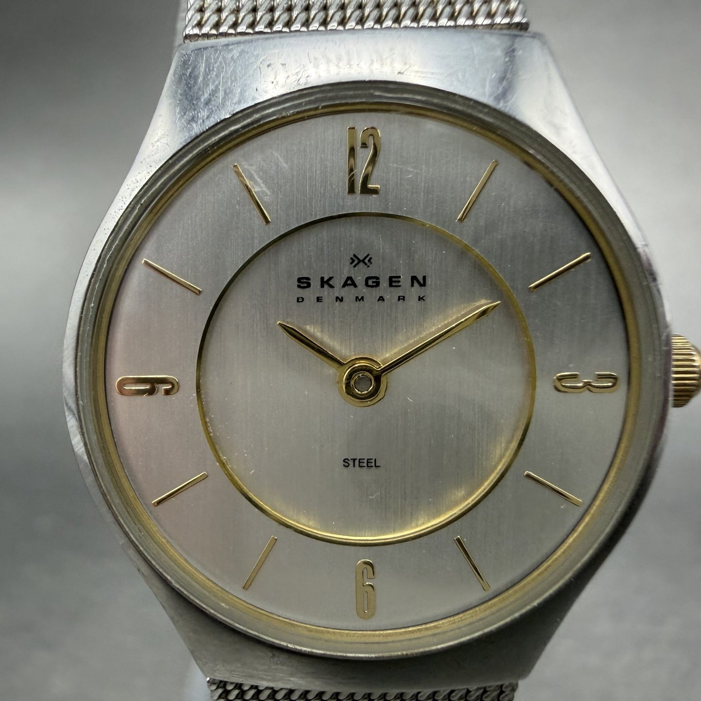 Skagen Watch Women 24mm Silver Dial Stainless Steel Round Mesh Band New Battery1