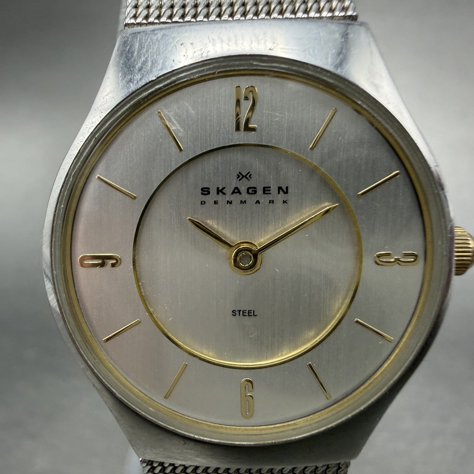 Skagen Watch Women 24mm Silver Dial Stainless Steel Round Mesh Band New Battery1