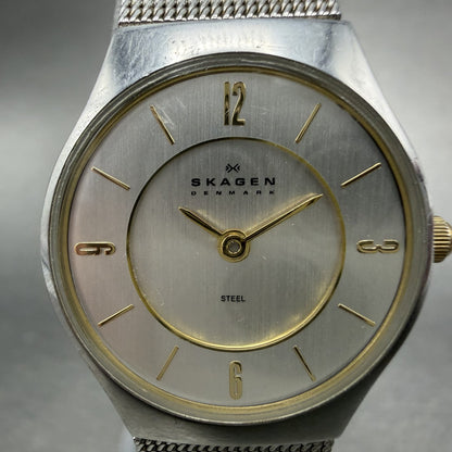 Skagen Watch Women 24mm Silver Dial Stainless Steel Round Mesh Band New Battery1