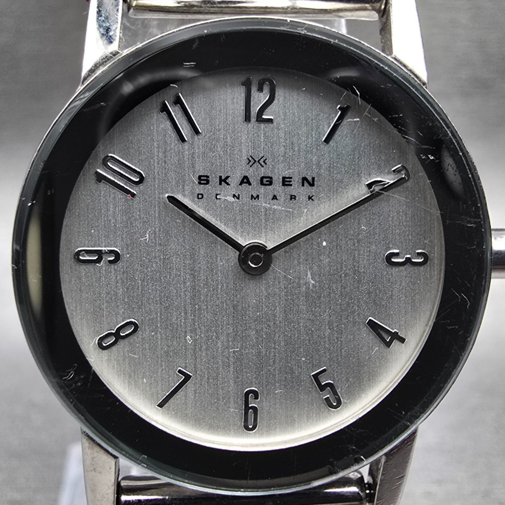 Skagen Watch Women 27mm Silver Dial Silver Tone Round Mesh Band 39SSS New Batt1
