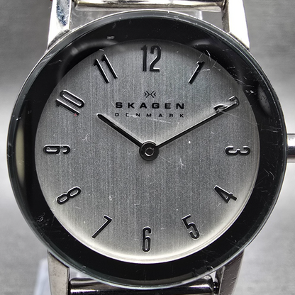 Skagen Watch Women 27mm Silver Dial Silver Tone Round Mesh Band 39SSS New Batt1