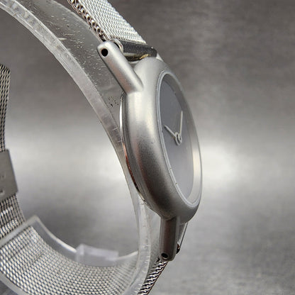 Skagen Watch Women 25mm Silver Dial Steel Round Mesh Band 4SSS New Battery