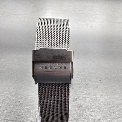Skagen Watch Men 34mm Gray Dial Titanium Date Round 170LTTM New Battery Mesh7