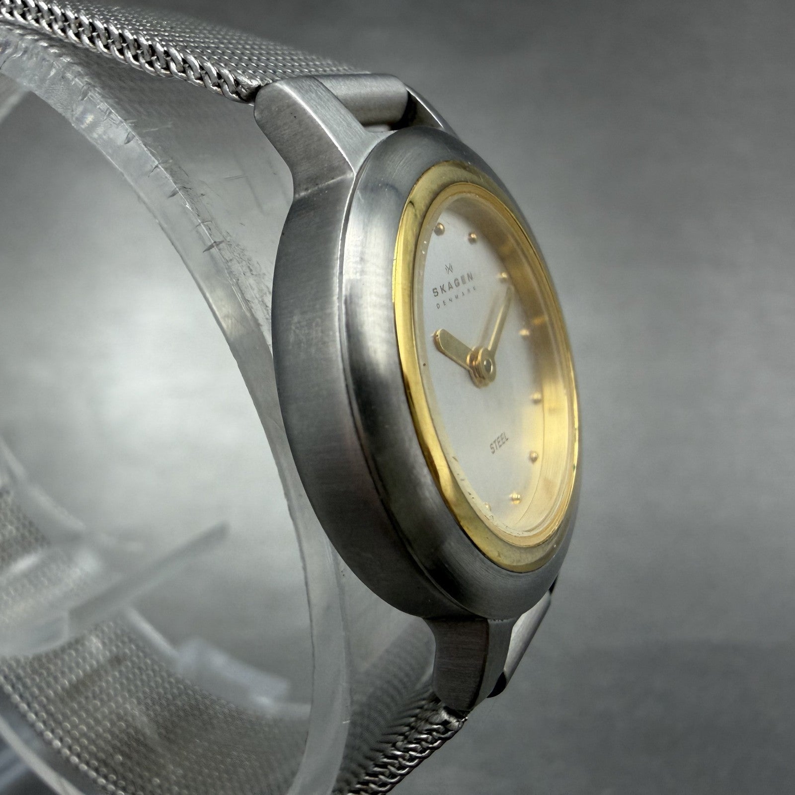 Skagen Watch Women 23mm Silver Dial Two Tone Round Mesh 120SGS New Battery3