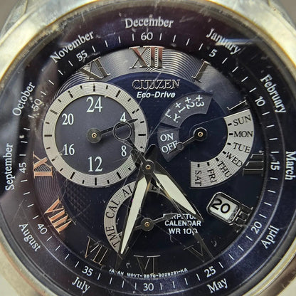 Citizen Eco-Drive Perpetual Calendar Watch Men 39mm Black Dial Steel Alarm RunsL1
