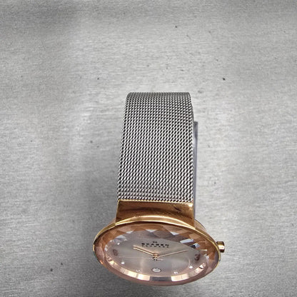 Skagen Leonora Watch Women 35mm Silver Dial Gold Tone Date Round 456LRS New Batt4