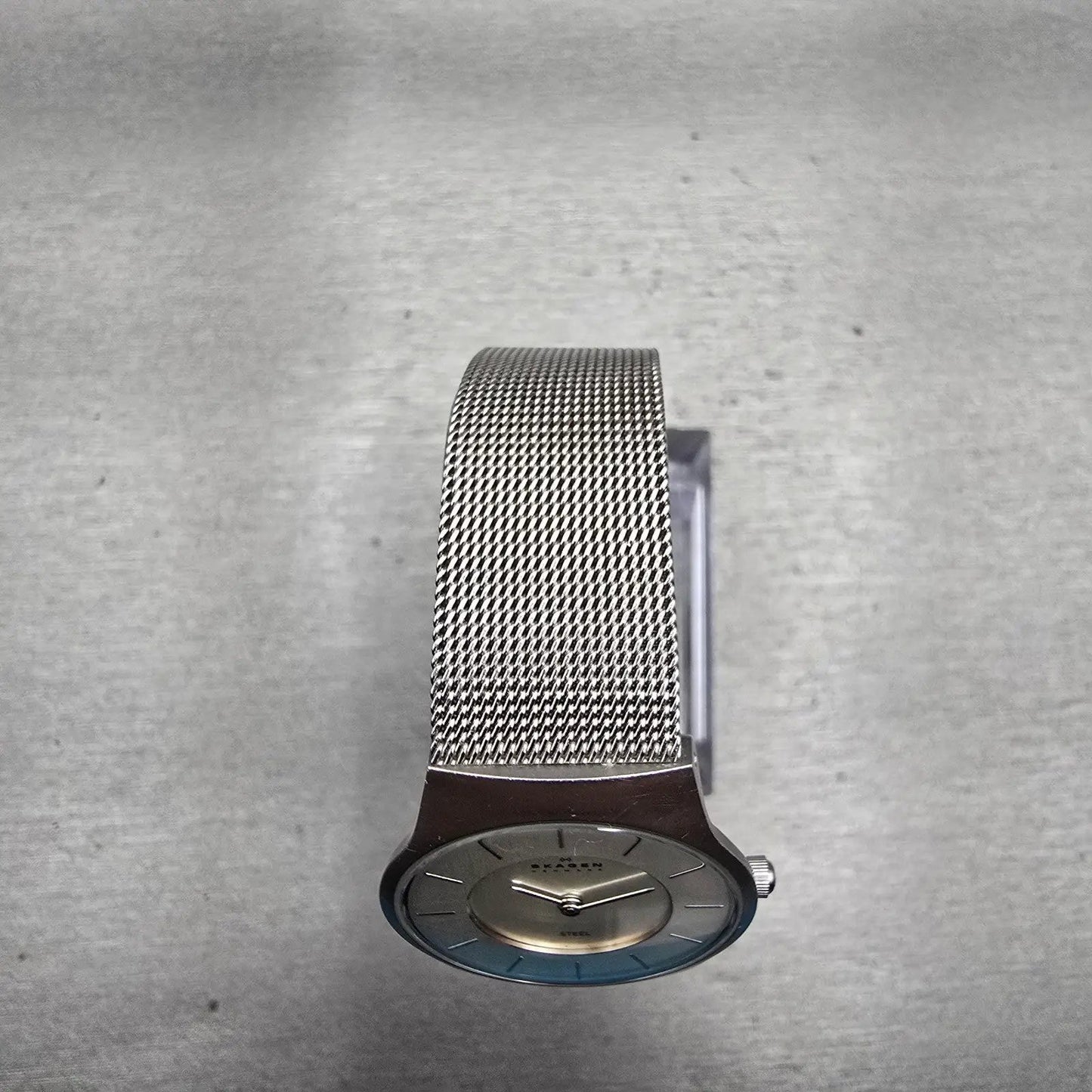 Skagen Watch Women 29mm Silver Dial Silver Tone Round Mesh Band 233SSS New Batt4