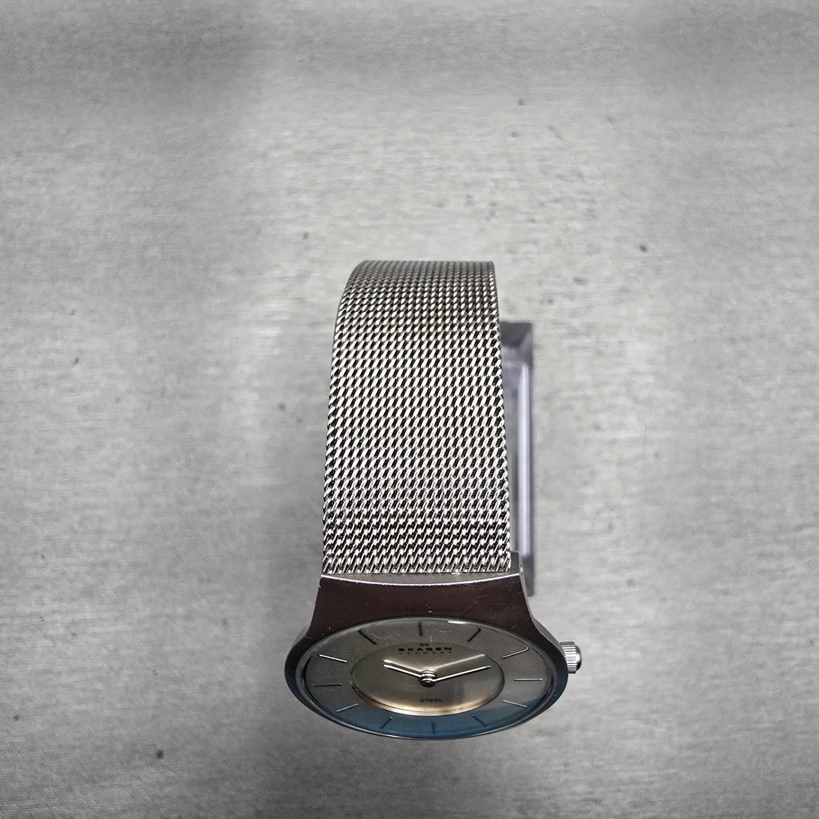 Skagen Watch Women 29mm Silver Dial Silver Tone Round Mesh Band 233SSS New Batt4