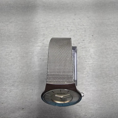 Skagen Watch Women 29mm Silver Dial Silver Tone Round Mesh Band 233SSS New Batt4