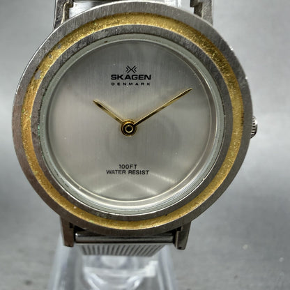 Skagen Watch Women 28mm Silver Dial Two Tone Round 30SGS Mesh Band New Battery1