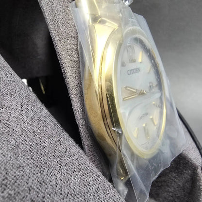 Citizen Chandler Eco-Drive Watch Men 41mm Silver Dial Gold Date AW1372-81A WBox3