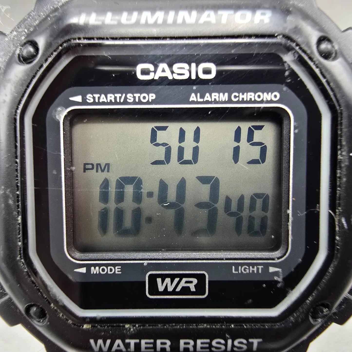 48445053