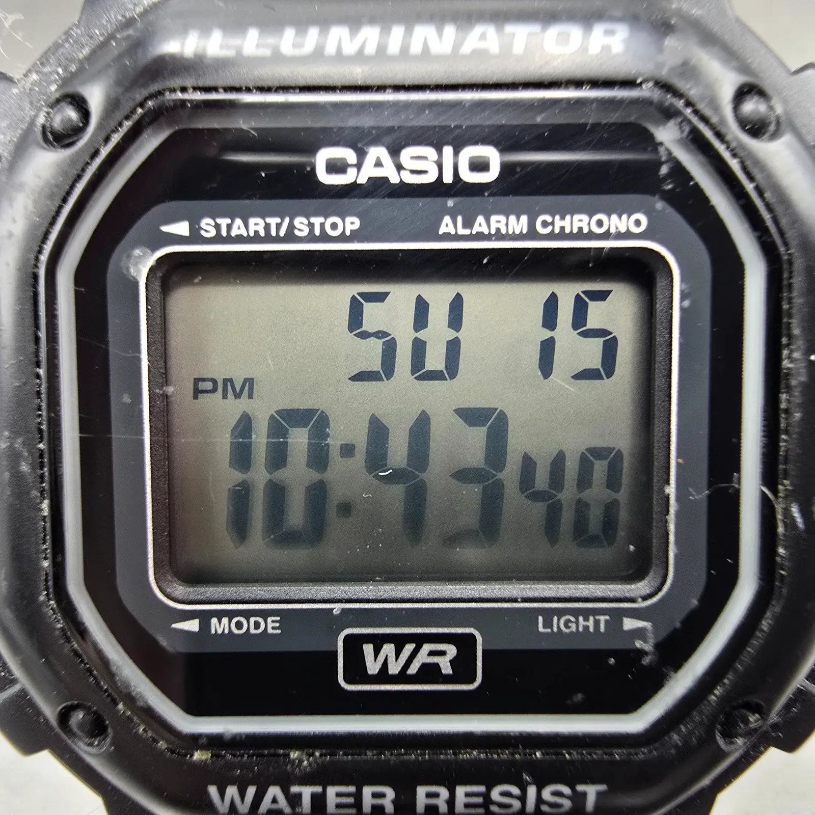 48445053