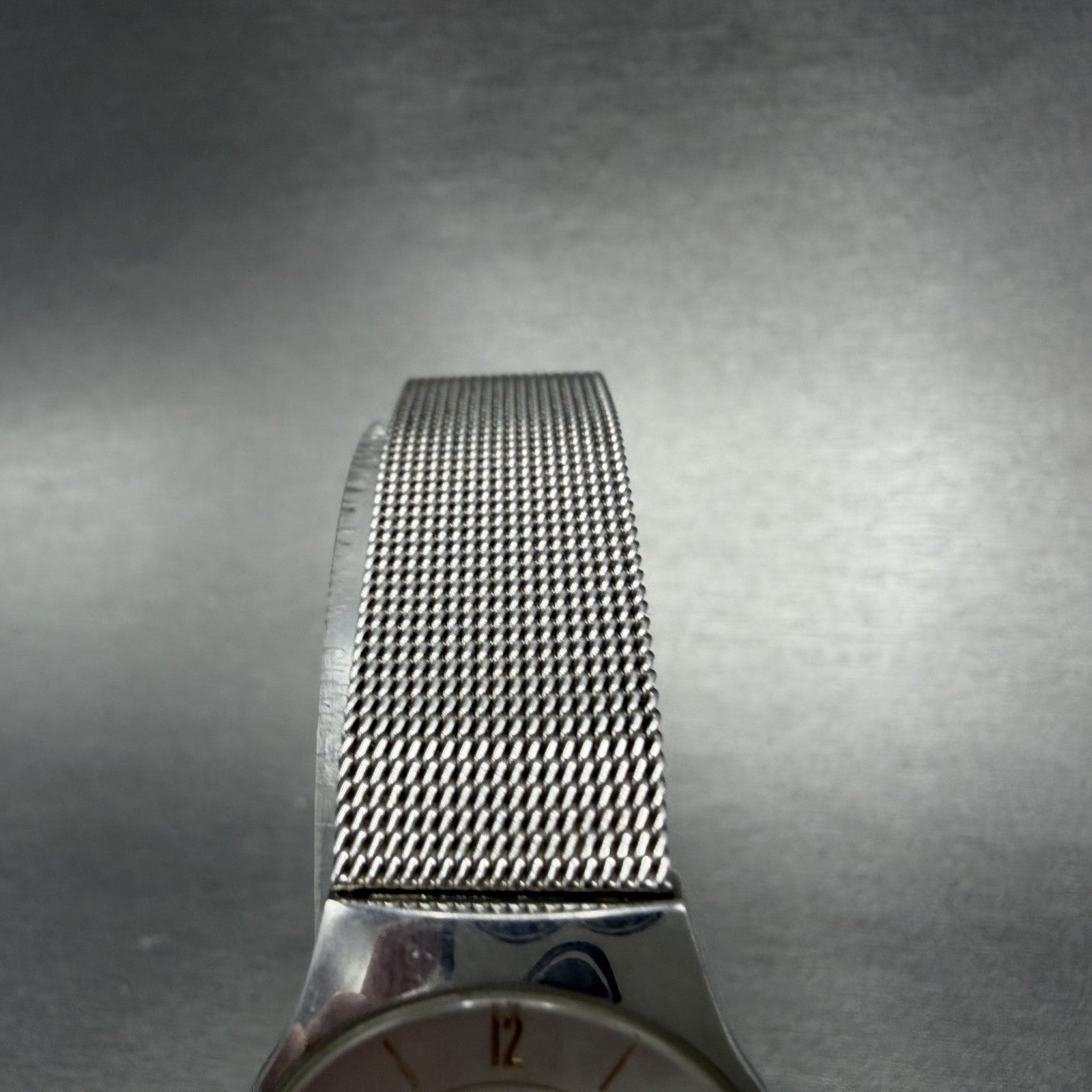 Skagen Watch Women 24mm Silver Dial Stainless Steel Round Mesh Band New Battery4