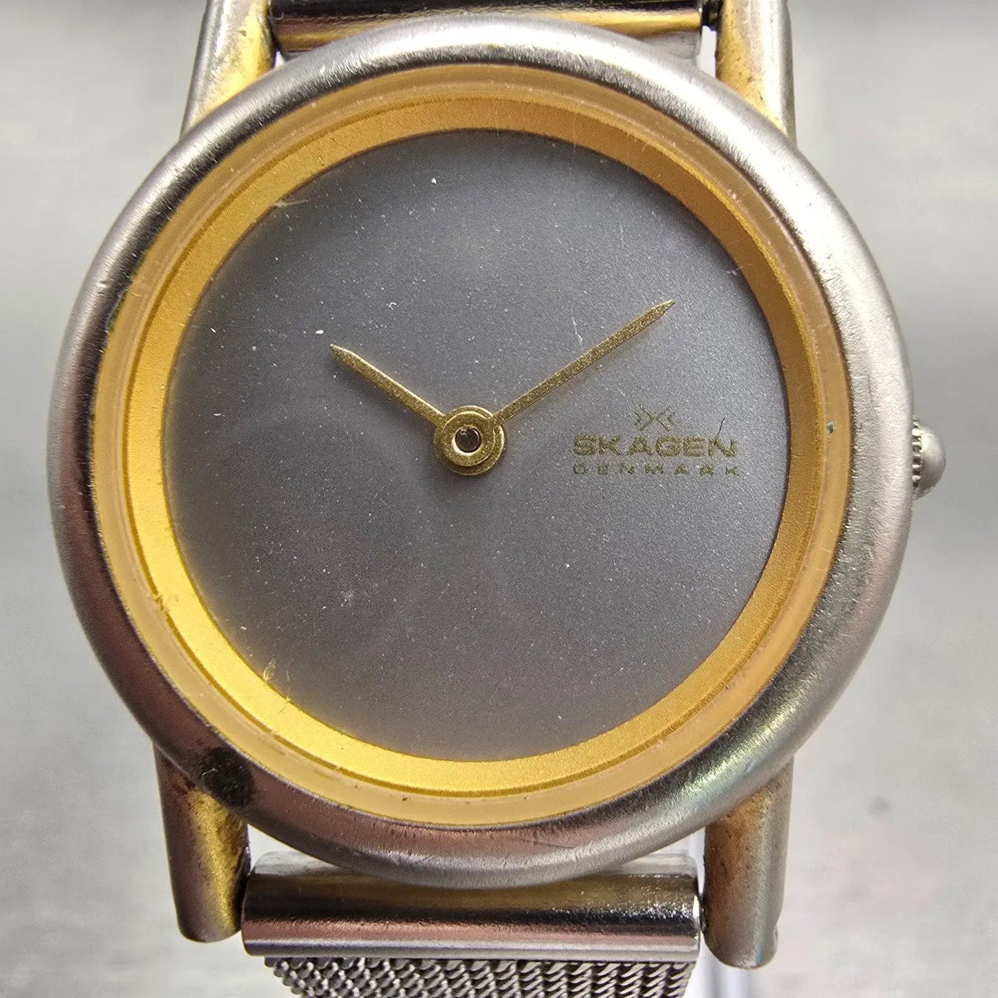 Skagen Denmark Watch Women 25mm Silver Dial Two Tone Round Mesh Band New Battery1