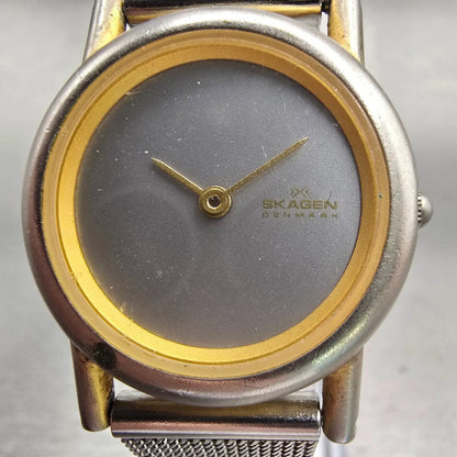 Skagen Denmark Watch Women 25mm Silver Dial Two Tone Round Mesh Band New Battery1