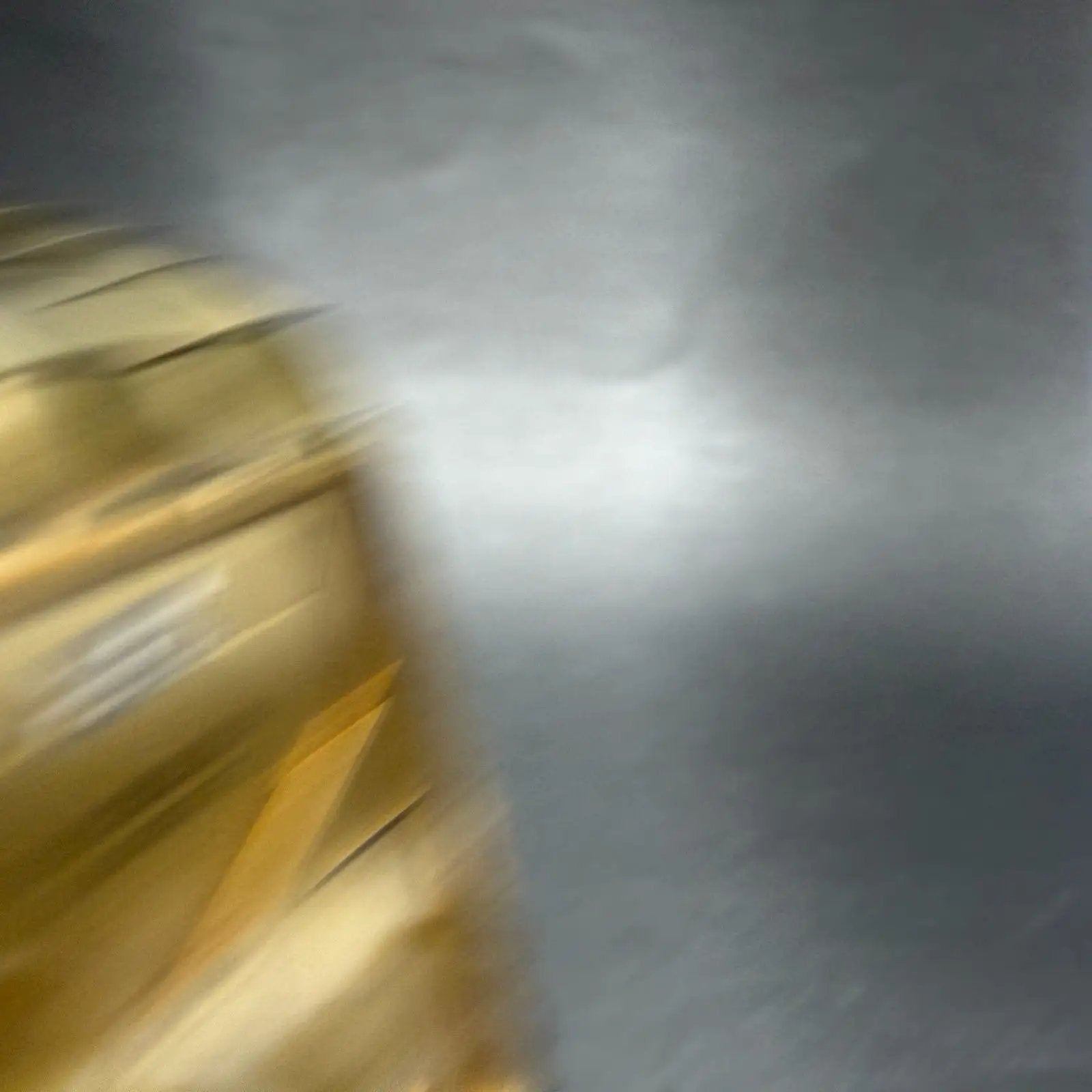 48165403