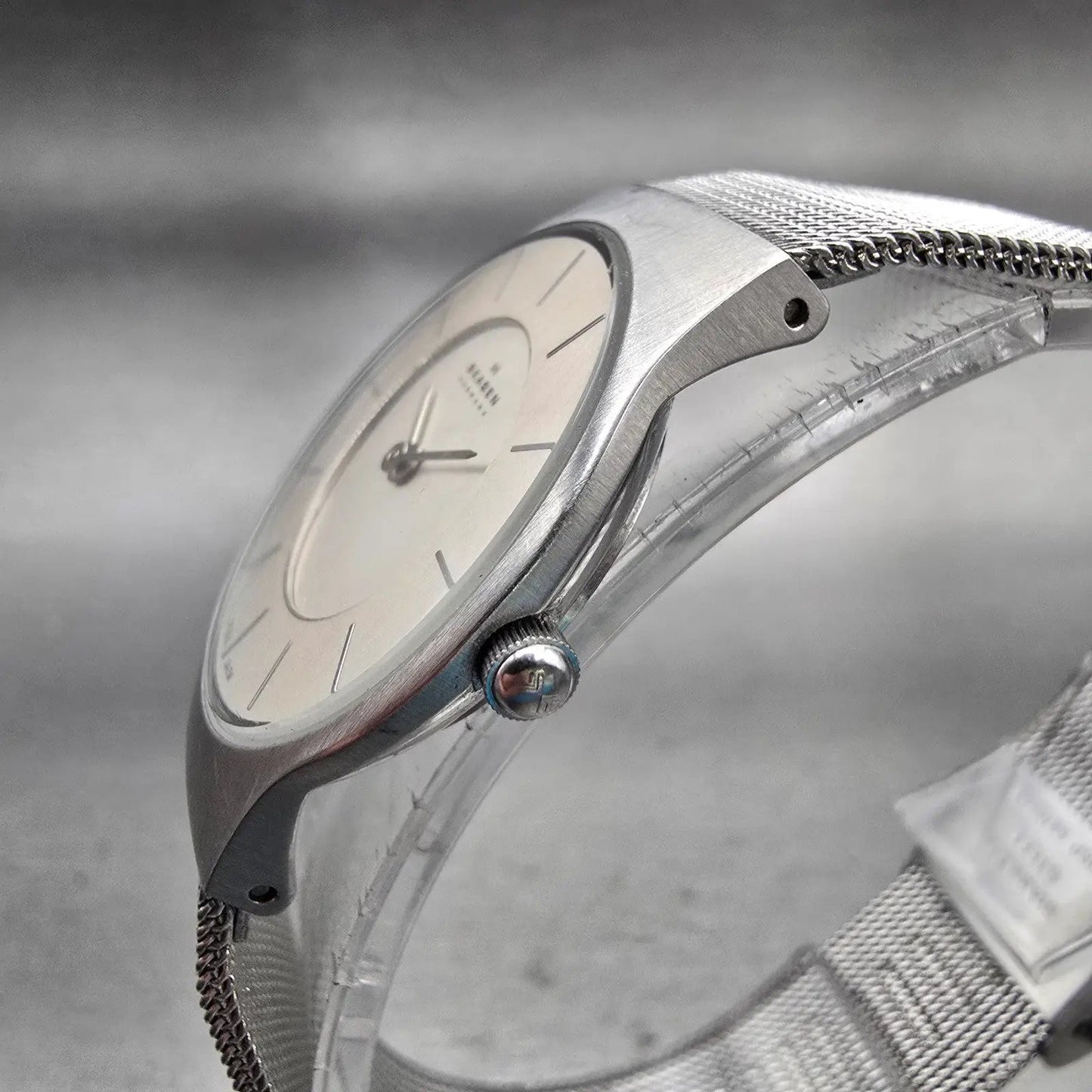 Skagen Denmark Watch Women 28mm Silver Dial Silver Tone Round 233SSS New Battery2