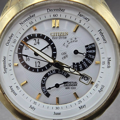 Citizen Eco-Drive Perpetual Calendar Watch Men 39mm White Dial Gold Alarm Runs1
